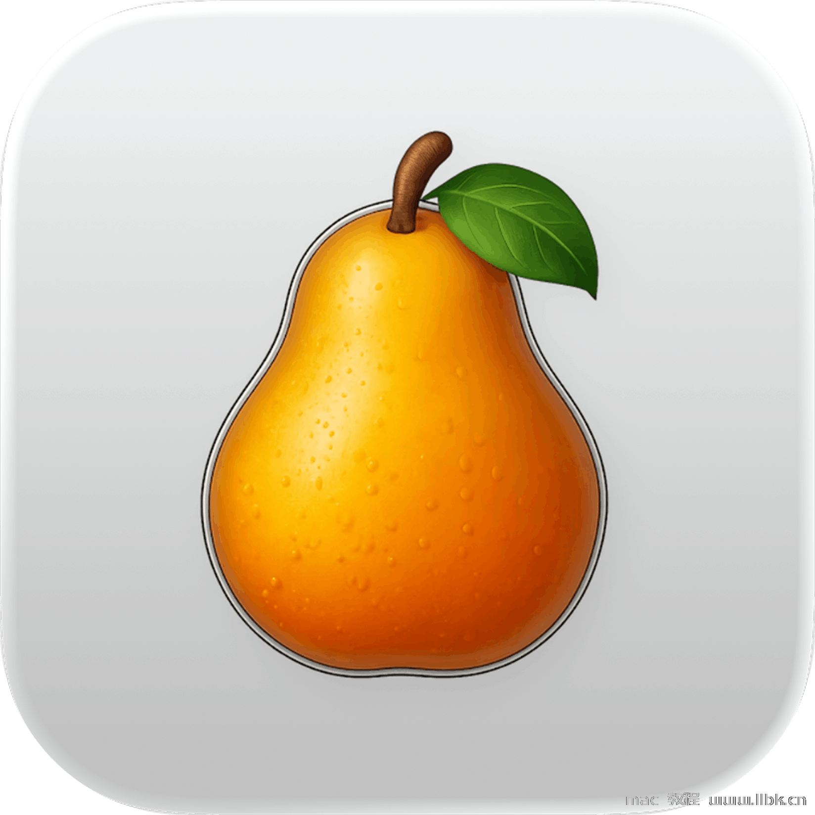 pearcleaner-icon.png